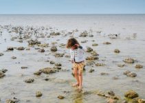 Things To Do with Kids In Massachusetts: Kid-friendly Beaches