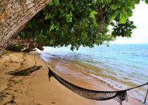 5 Best Beaches Near Me in Palau